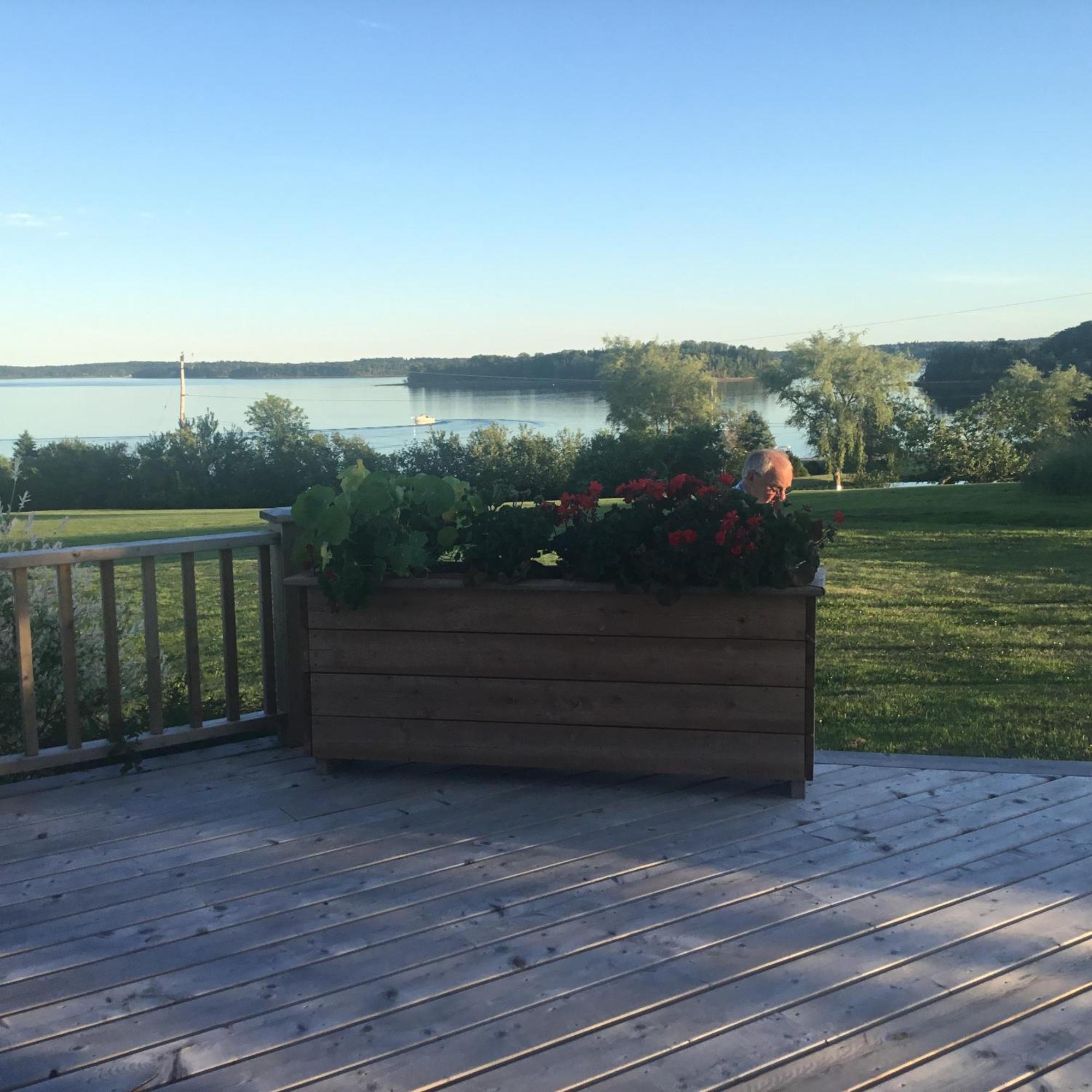 Bayview Pines Country Inn B&B 马洪贝 外观 照片